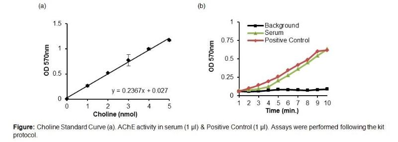 Biovision新品：胆碱和乙酰胆碱检测试剂盒、乙酰胆碱酯酶活性分析试剂盒