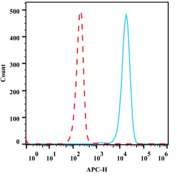 Anti-Human CD10, APC (Clone:SN5c) - 结果示例图片