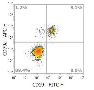 Anti-Human CD79a, PE (Clone: HM47) - 结果示例图片