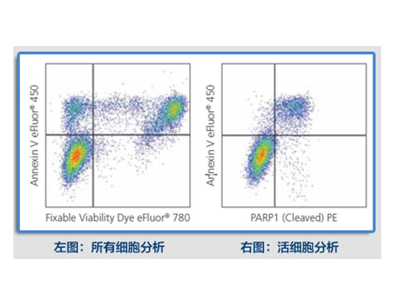 懂了这些知识，能帮你做好Th1/Th2检测