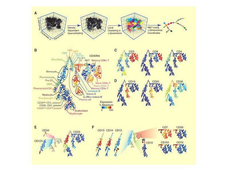 Read more about the article eBioscience质谱流式细胞术应用抗体