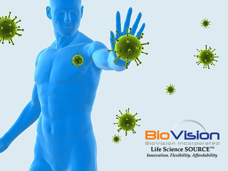 Read more about the article 免疫检查点Immune checkpoints  —抗体和蛋白