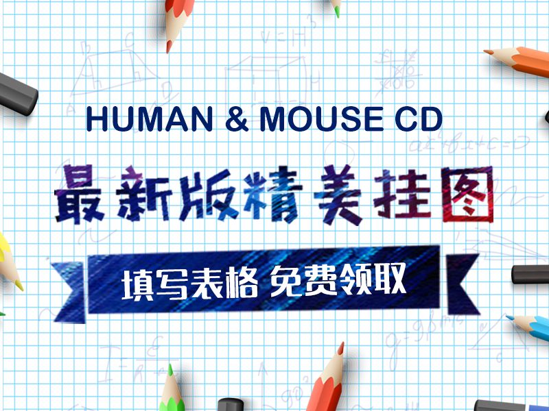 Read more about the article 最新human &mouse CD  精美海报，欢迎索取!