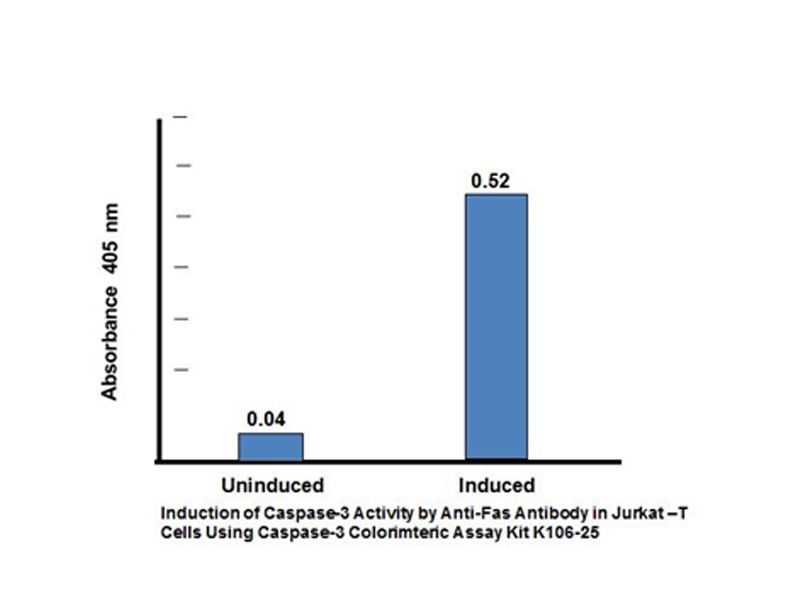 Read more about the article Biovision Caspase3 活性检测试剂盒（比色法）