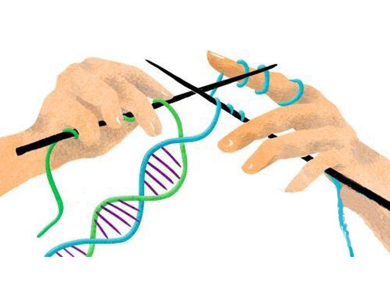 Read more about the article 浅谈基因编辑工具：SpyCas9 系统