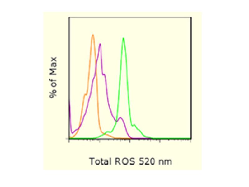 Read more about the article eBioscience最新推出：总活性氧流式分析试剂盒